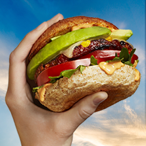 Zesty Southwest Black Bean Burger